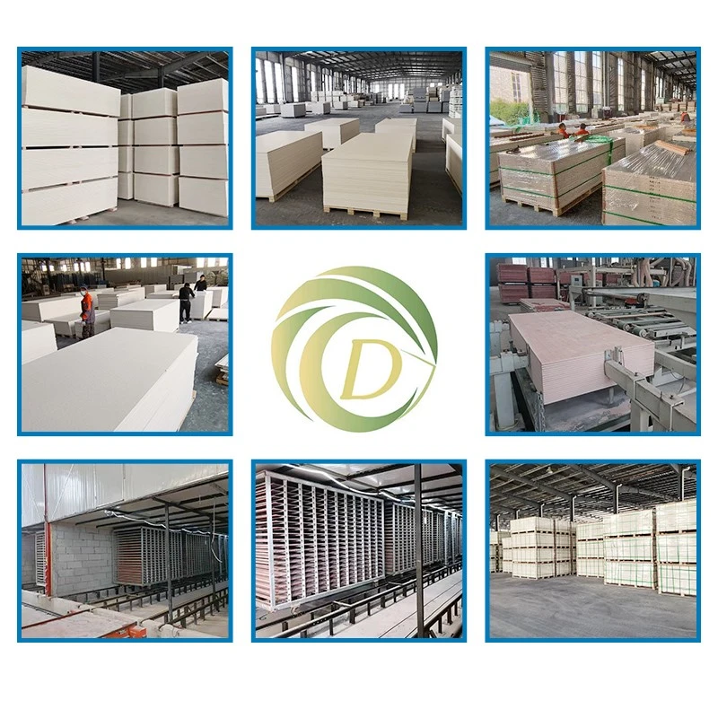 product-800-800 product-800-800